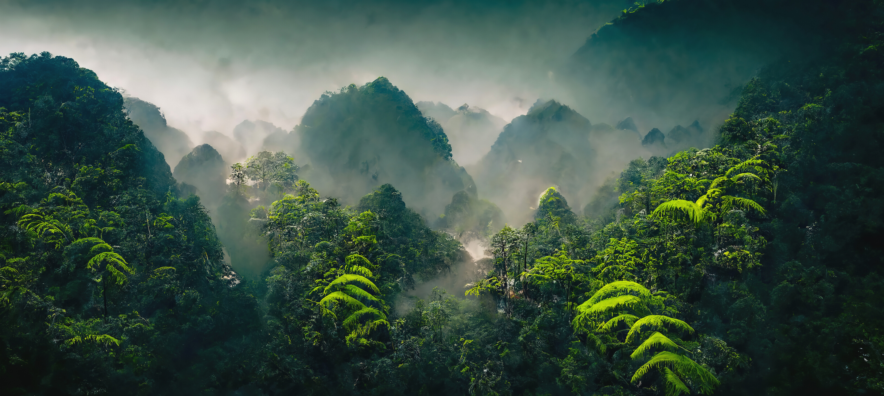 Beeindruckende Luftaufnahme eines üppigen Regenwaldes mit dichter Vegetation und mystischem Nebel, der die Hügel bedeckt. Darstellung der unberührten Natur und der Schönheit tropischer Ökosysteme.